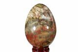 Colorful, Polished Petrified Wood Egg - Madagascar #172526-1